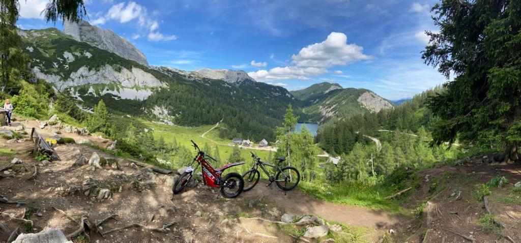 Alpenapartments Steiermark 巴德米滕多夫 外观 照片
