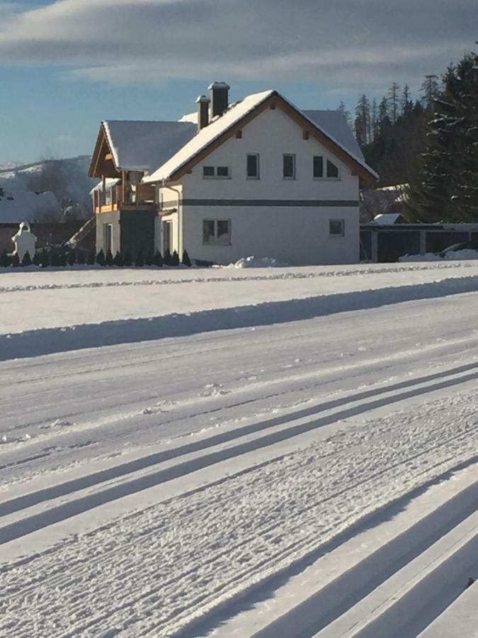 Alpenapartments Steiermark 巴德米滕多夫 外观 照片